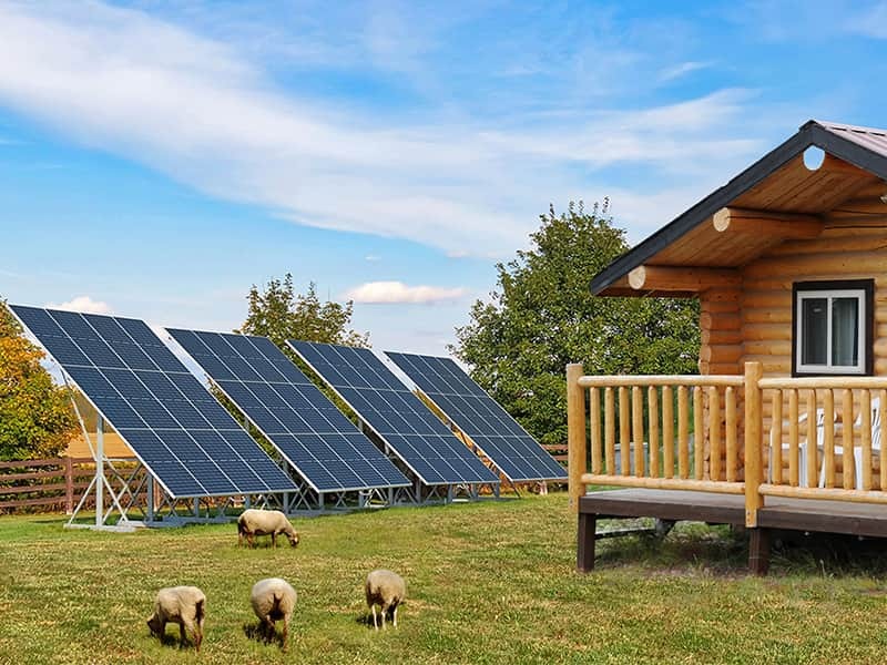 Renogy Solar Panels