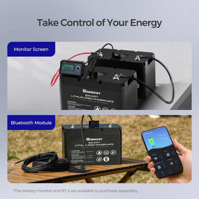 12V 100Ah Smart Lithium Iron Phosphate Battery