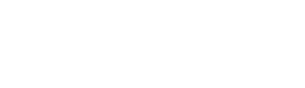 Praetorian Consulting Store