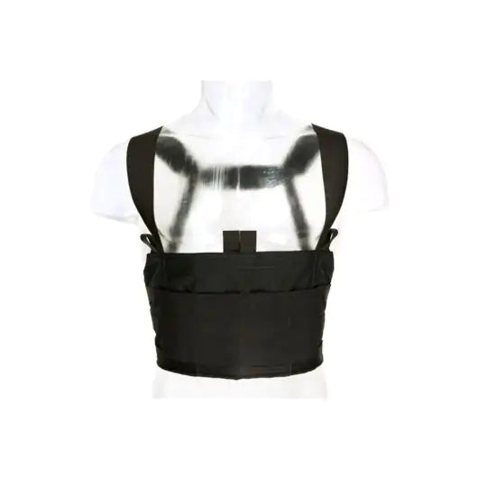 Ten-Speed M4 Chest Rig